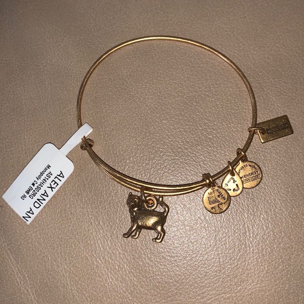 Alex and Ani Cat charm bracelet